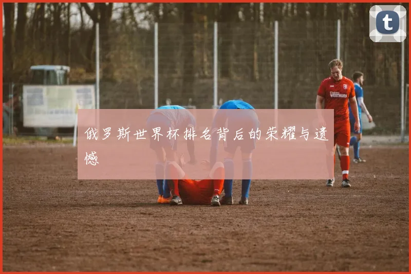 俄罗斯世界杯排名背后的荣耀与遗憾