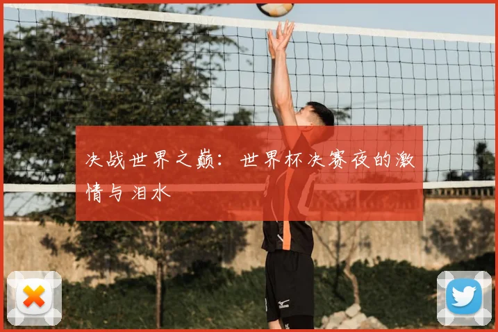 决战世界之巅：世界杯决赛夜的激情与泪水