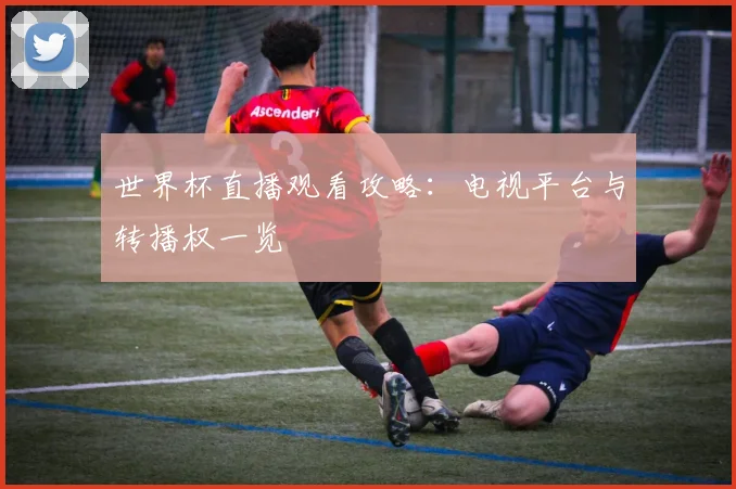 世界杯直播观看攻略：电视平台与转播权一览