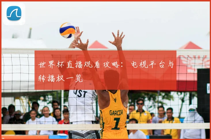 世界杯直播观看攻略：电视平台与转播权一览