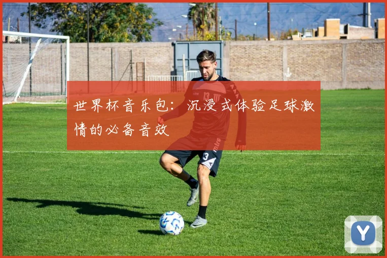 世界杯音乐包：沉浸式体验足球激情的必备音效