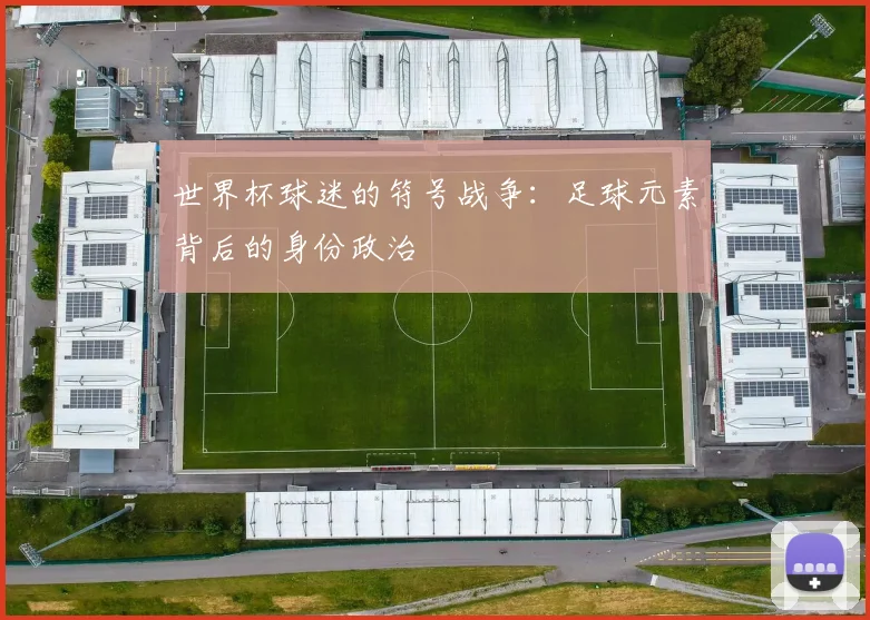 世界杯球迷的符号战争：足球元素背后的身份政治