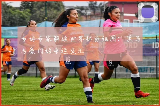 专访专家解读世界杯分组图：黑马与豪门的命运交汇