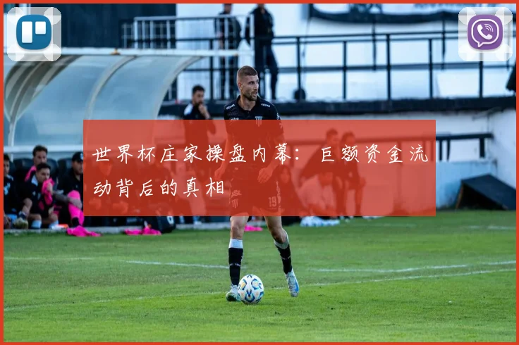 世界杯庄家操盘内幕：巨额资金流动背后的真相