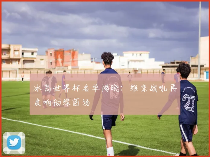 冰岛世界杯名单揭晓：维京战吼再度响彻绿茵场