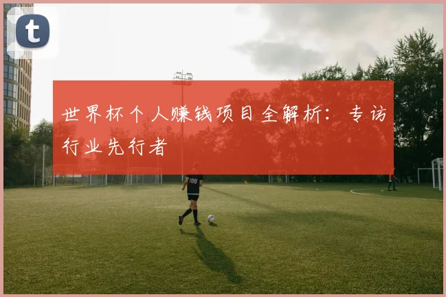 世界杯个人赚钱项目全解析：专访行业先行者