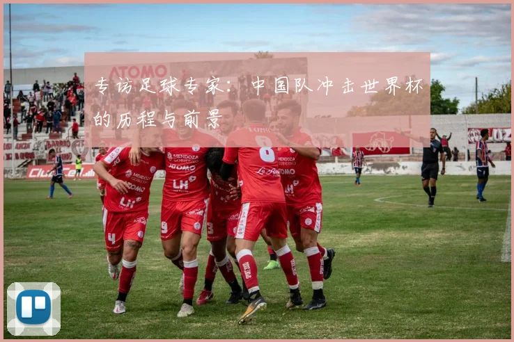 专访足球专家：中国队冲击世界杯的历程与前景