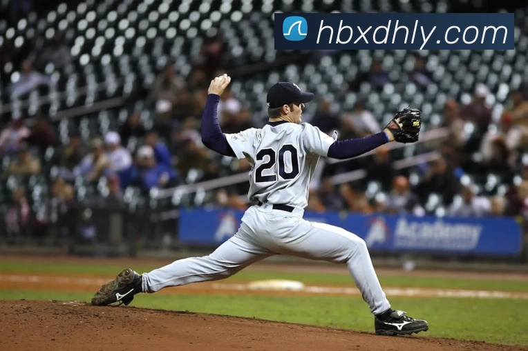 开云在线官网登录入口发展历程